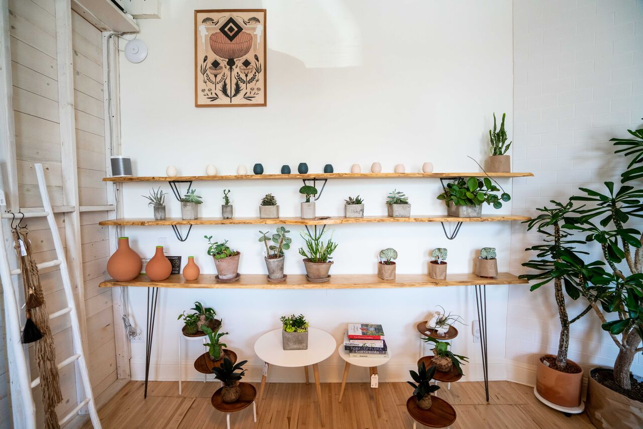 303, 303 Magazine, 303 Style, FIG+YARROW, Denver, Denver Beauty, Beauty, Natural, Target, Shopping, LoHi, Apothecary, Vivian Louthan, Brandy Monique, Meg O’Neill Photography