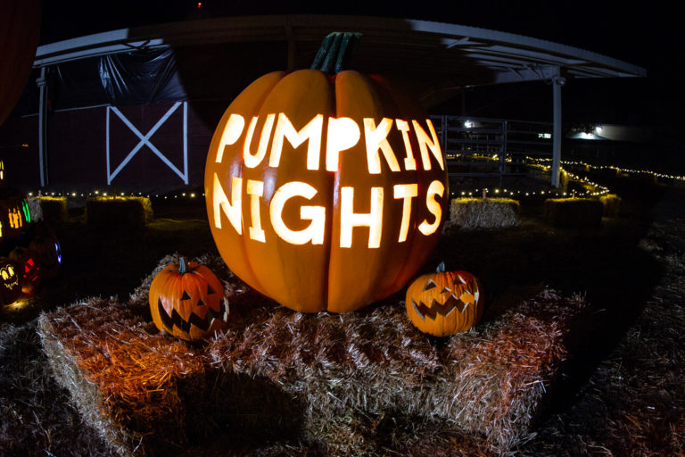 31+ Halloween Events in Denver Worth Checking Out 303 Magazine
