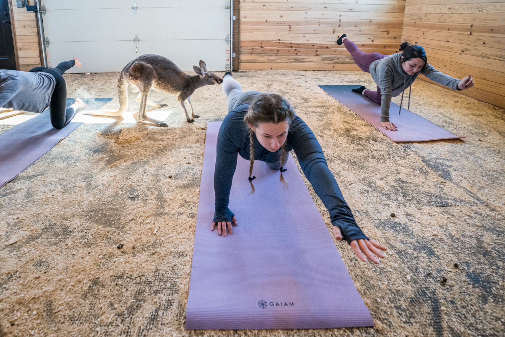 Kangaroo Yoga Mat