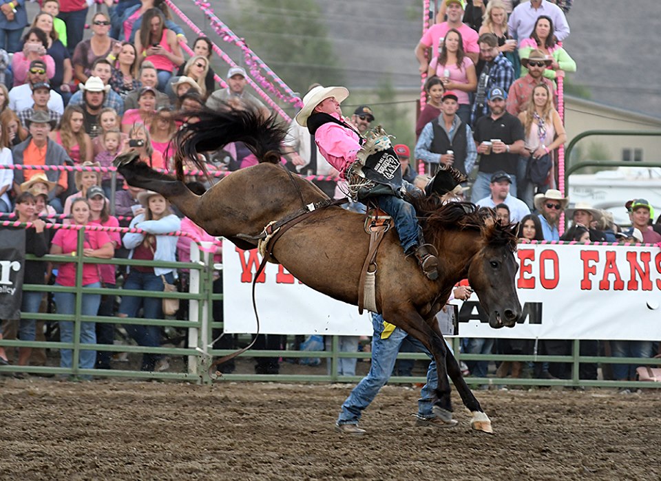 5 Fairs & Rodeos Around Colorado That You Can't Miss 303 Magazine