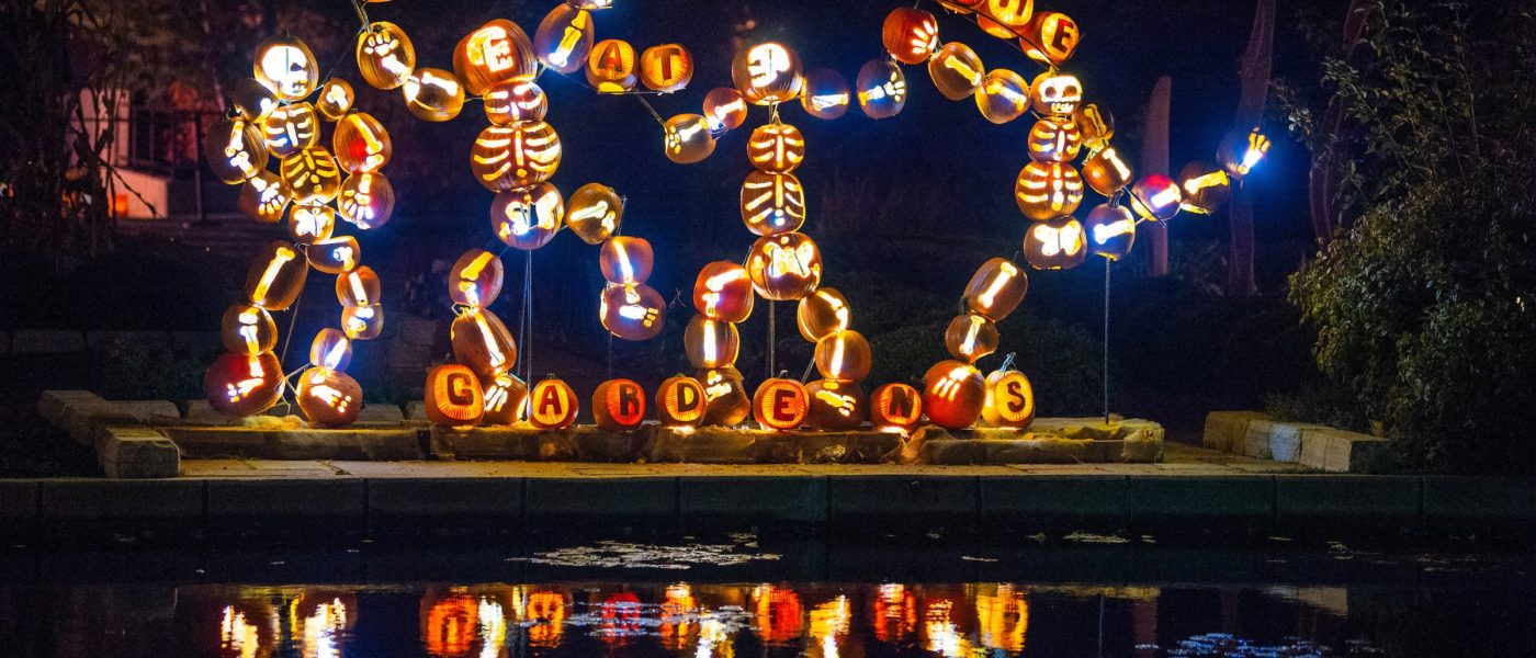Glow at the Gardens and 27 Things to do in Denver this Week - 303 Magazine