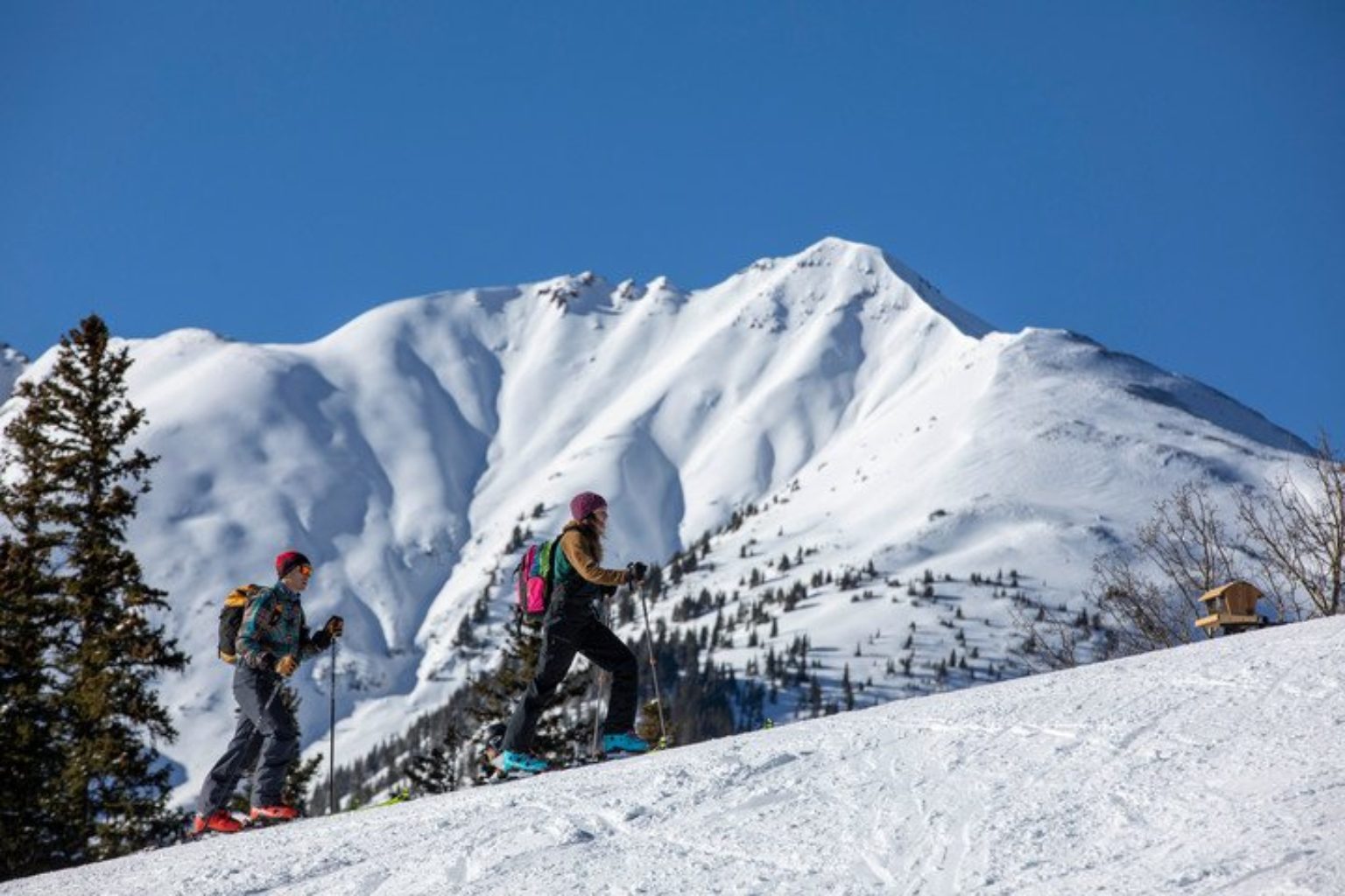 Once a Fringe Activity, More People in Colorado Are Uphill Skiing - 303 ...