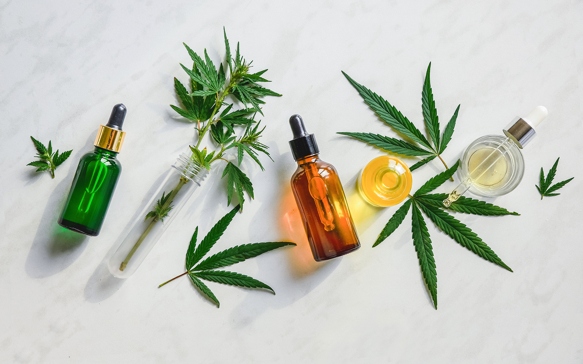 Benefits of THC-Free CBD Oil - SUPA Naturals