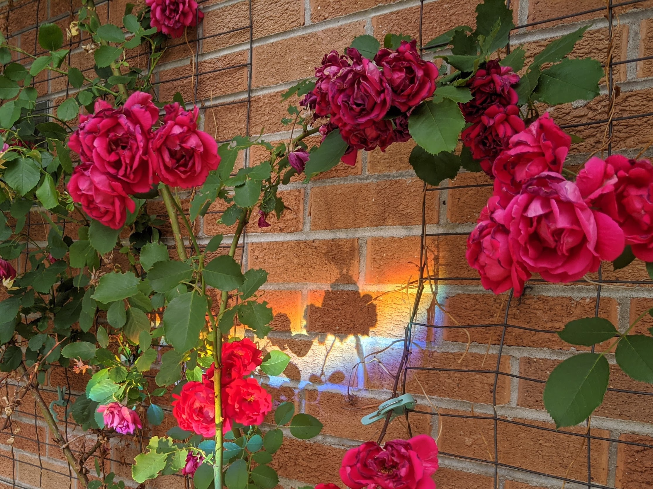 There's A Secret Garden Filled With Art Hidden Near Denver - 303 Magazine