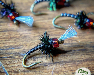 flies for fishing from Fishing the Good Fight