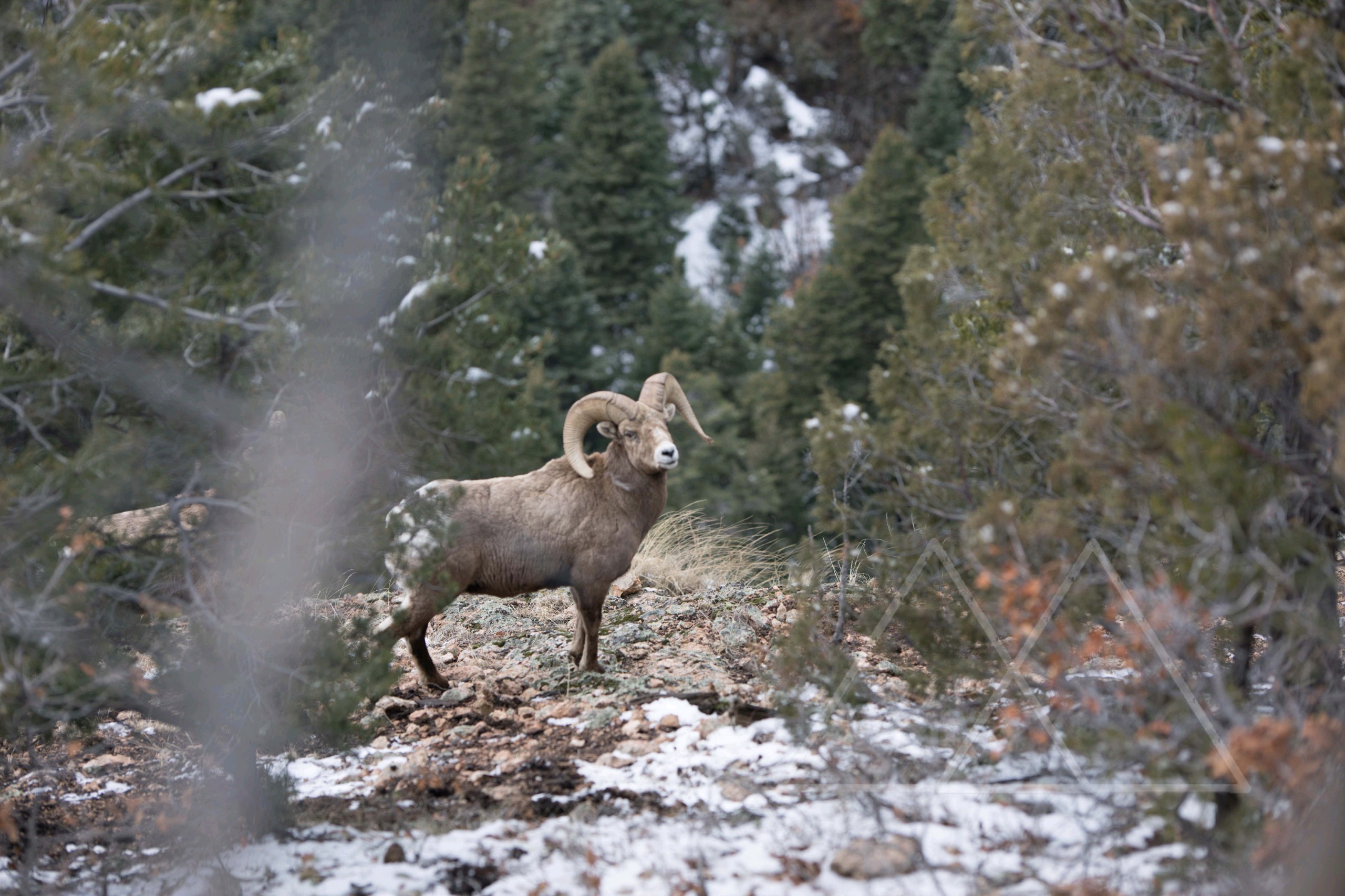 Zascha Fox, 303 Magazine, Taos, New Mexico, Angel Fire, Truchas, Arroyo Seco, Rio Grande, Black Rock Hot Springs, Gavilan Falls, Denver, Hike, Labyrinth, Gorge, Trampas Lakes, West Rim, Wheeler Peak, Oeste Vista Loop, El Salto Falls, Devisadero Loop Trail, The Slide Trail, Italianos Canyon Trail