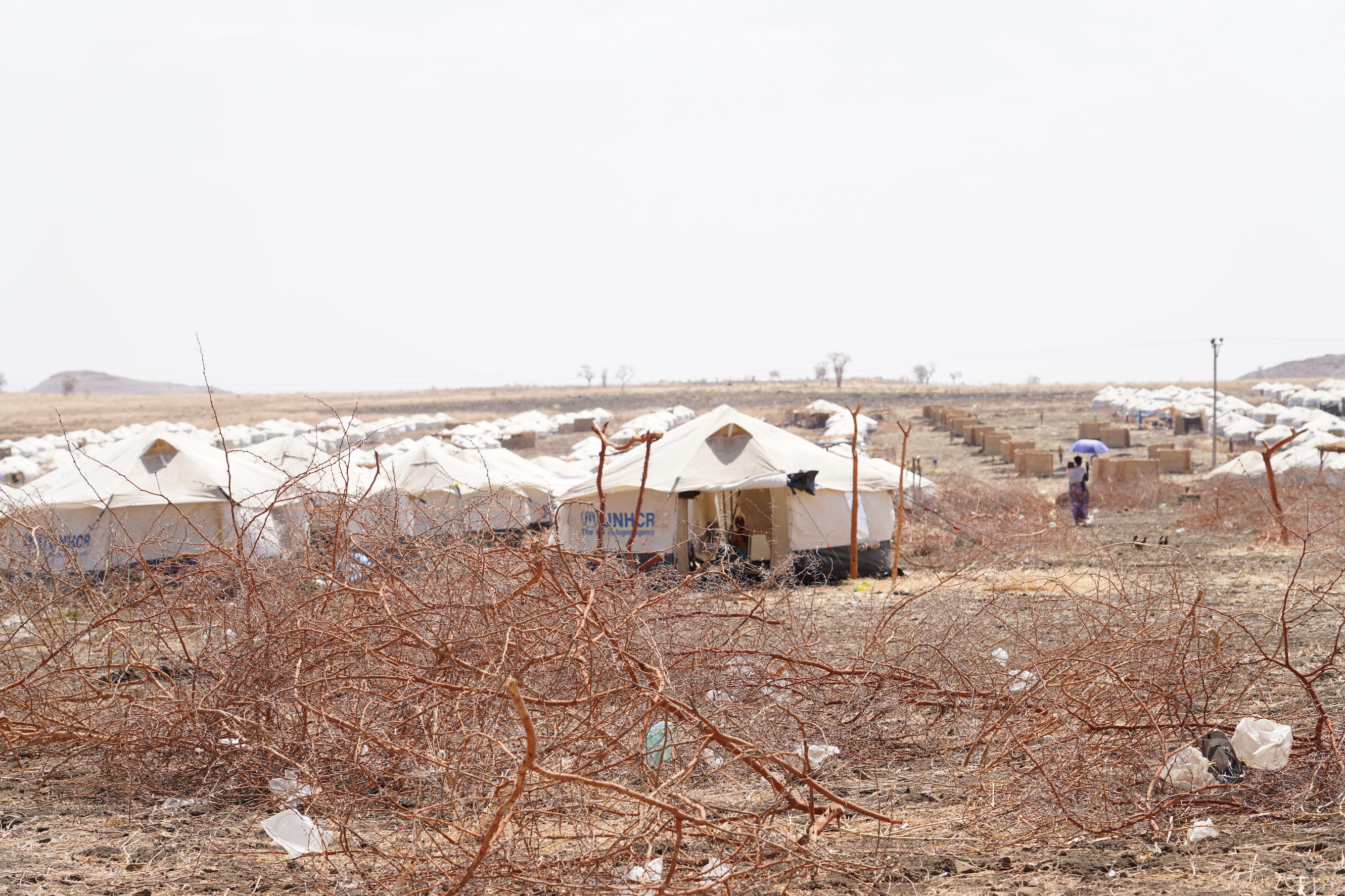 Zascha Fox, 303 Magazine, Denver, Colorado, Ethiopia, Tigray, Genocide, Amhara, Milette Birhanemaskel, Agazi Abay, Suzy Mahmoud, Protest, Ethnic Cleansing, Mental Health, OMNA Tigray, Stand With Tigray