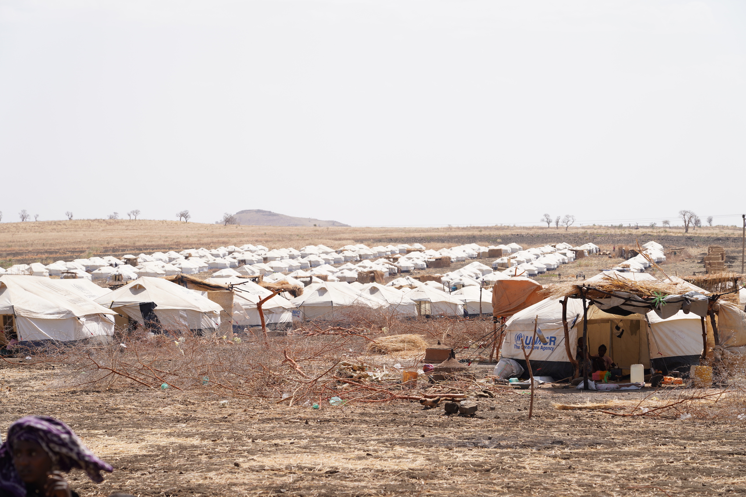 Zascha Fox, 303 Magazine, Denver, Colorado, Ethiopia, Tigray, Genocide, Amhara, Milette Birhanemaskel, Agazi Abay, Suzy Mahmoud, Protest, Ethnic Cleansing, Mental Health, OMNA Tigray, Stand With Tigray