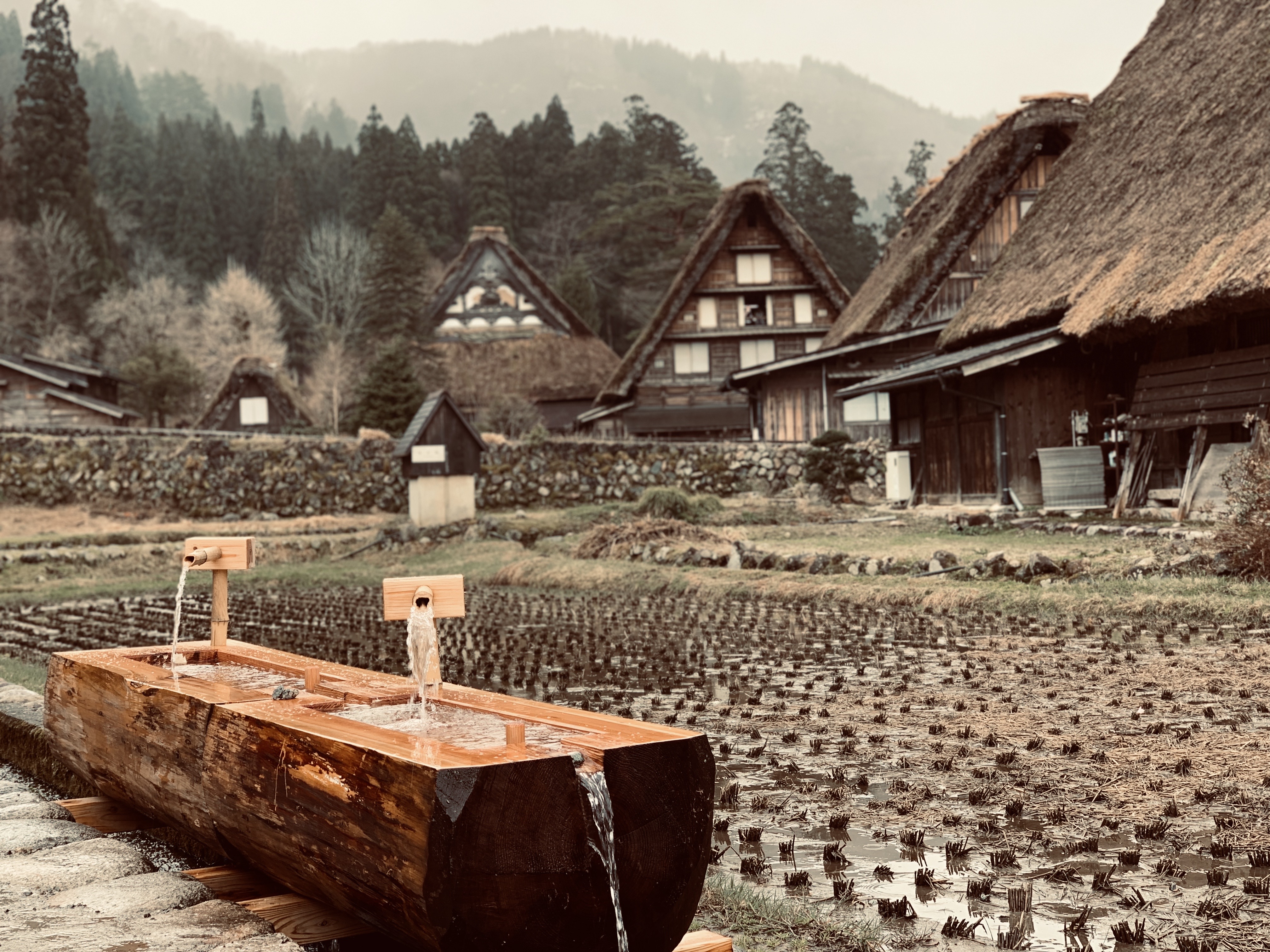 Zascha Fox, 303 Magazine, Shelby Dziwulski, Navy, Helicopter Pilot, Search and Rescue, Authenteco, Travel, Travel Concierge, Sustainable, Responsible, Conscious, Responsible Travel, Magazine, National Parks