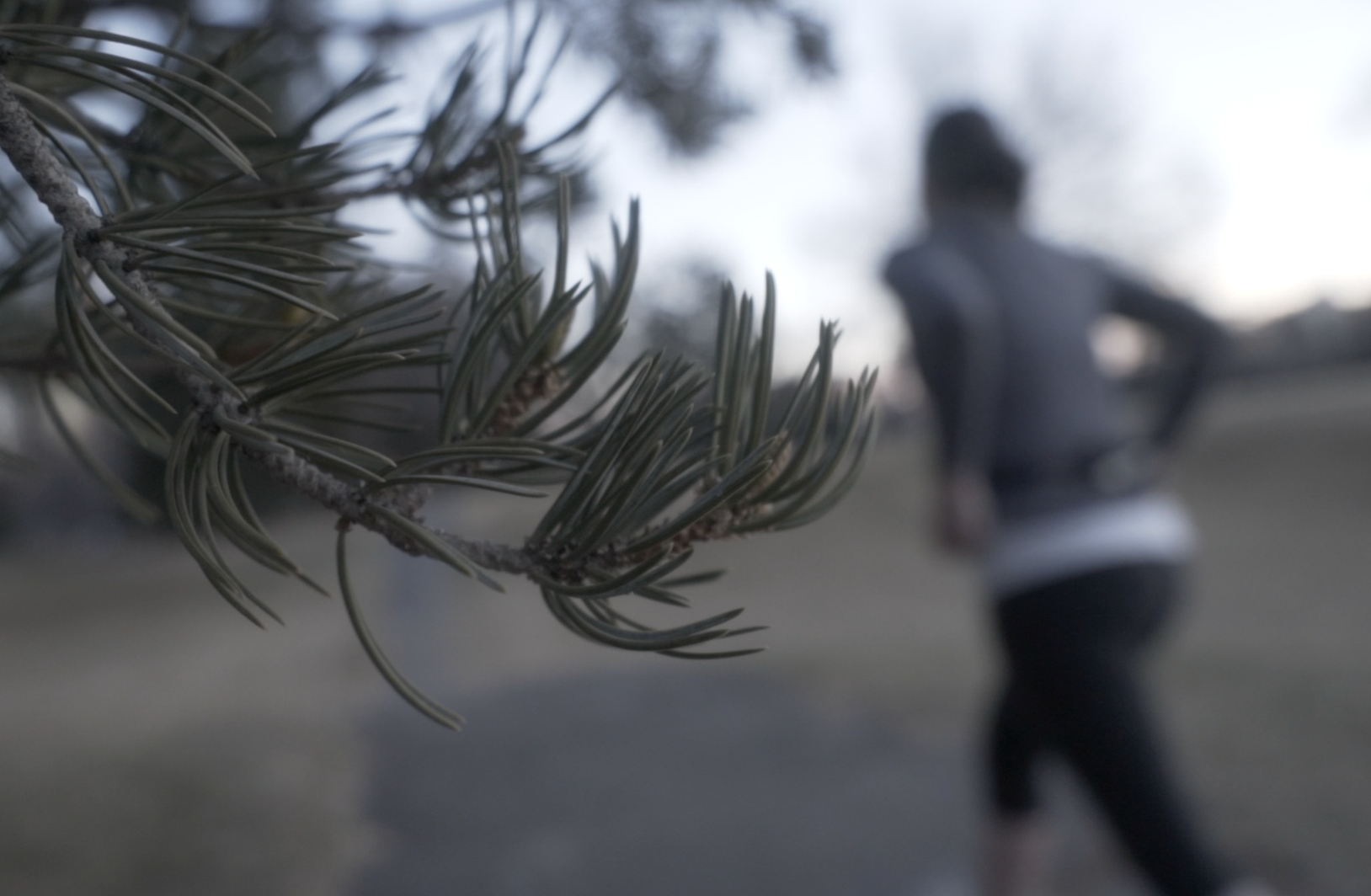 Zascha Fox, 303 Magazine, Mike Tolliver, Andrea Nordgren, Erased, Film, Documentary, Denver, Colorado, Drug Facilitated Sexual Assault, Sexual Assault, Rape, Date Rape, Survivors