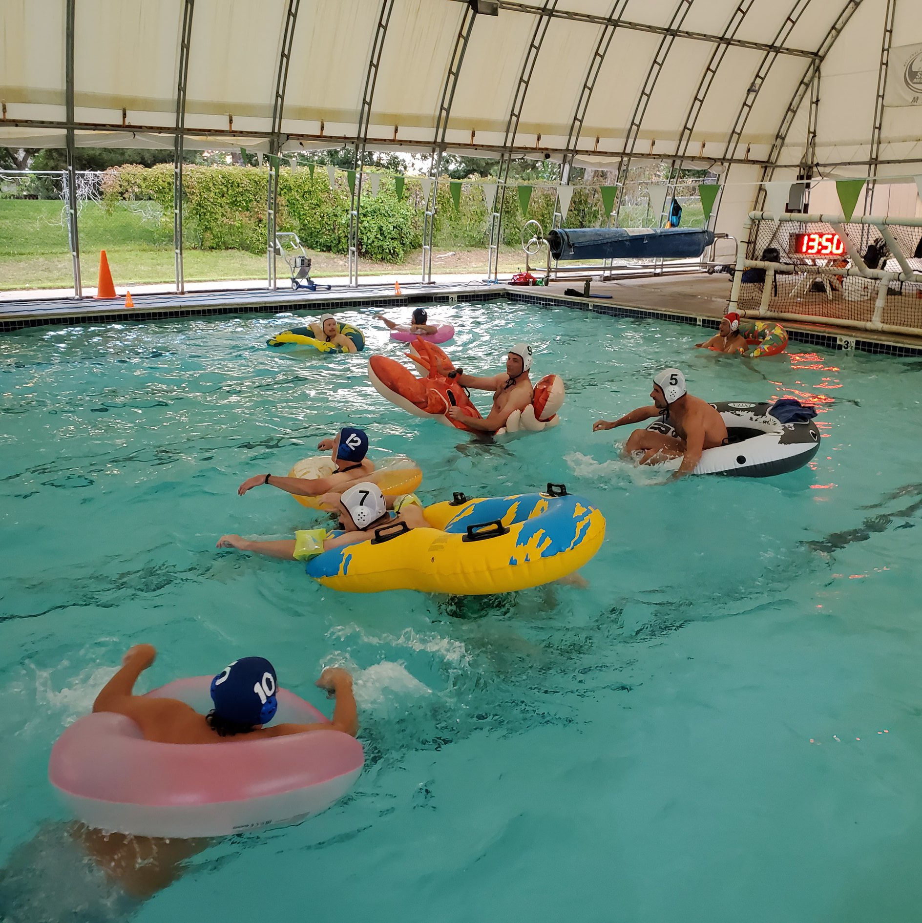 Denver Squid Aquatics Club