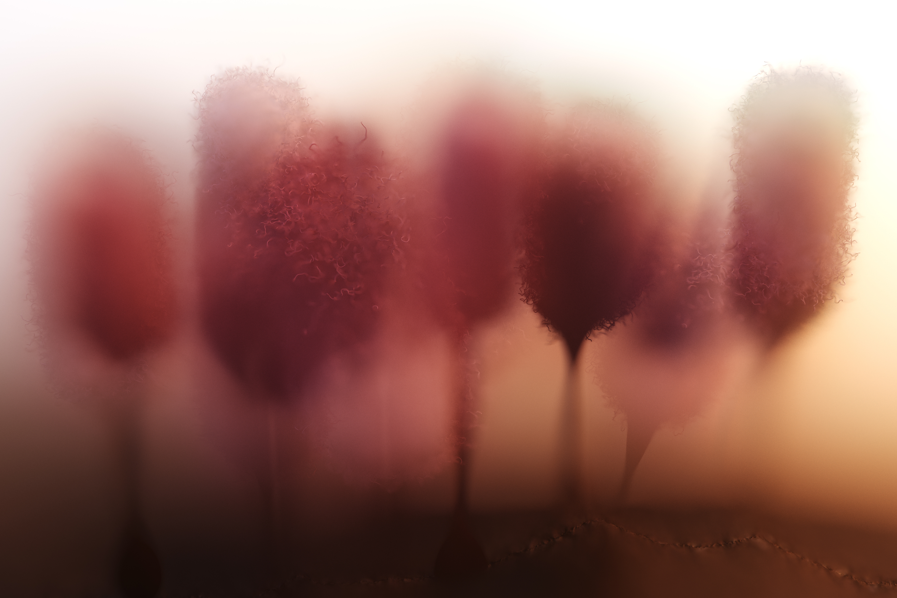 Zascha Fox, 303 Magazine, ETHDenver, Sporkdao, NFT, Art, Blockchain, Ethereum, Denver, Colorado, Travis Vermilye, CU Denver, Illustration, Design, Annie Phillips, IRL Art, Justin Moskowitz, John Paller