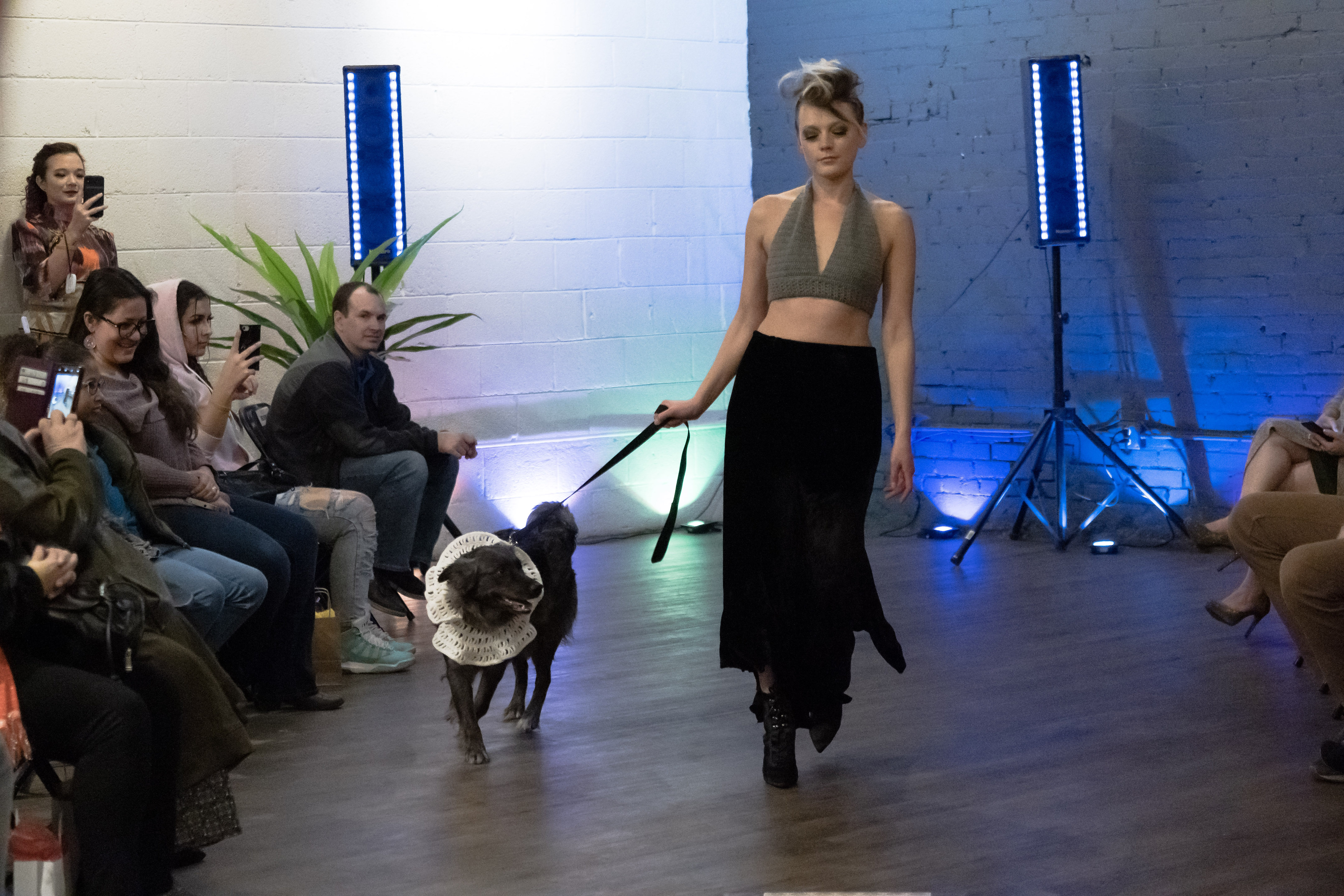 Abby Schirmacher, 303 Magazine, Corgi Fashion Show, Paws All in The City, Corgis and Friends Take Over Fashion 2021, The Village Workspace