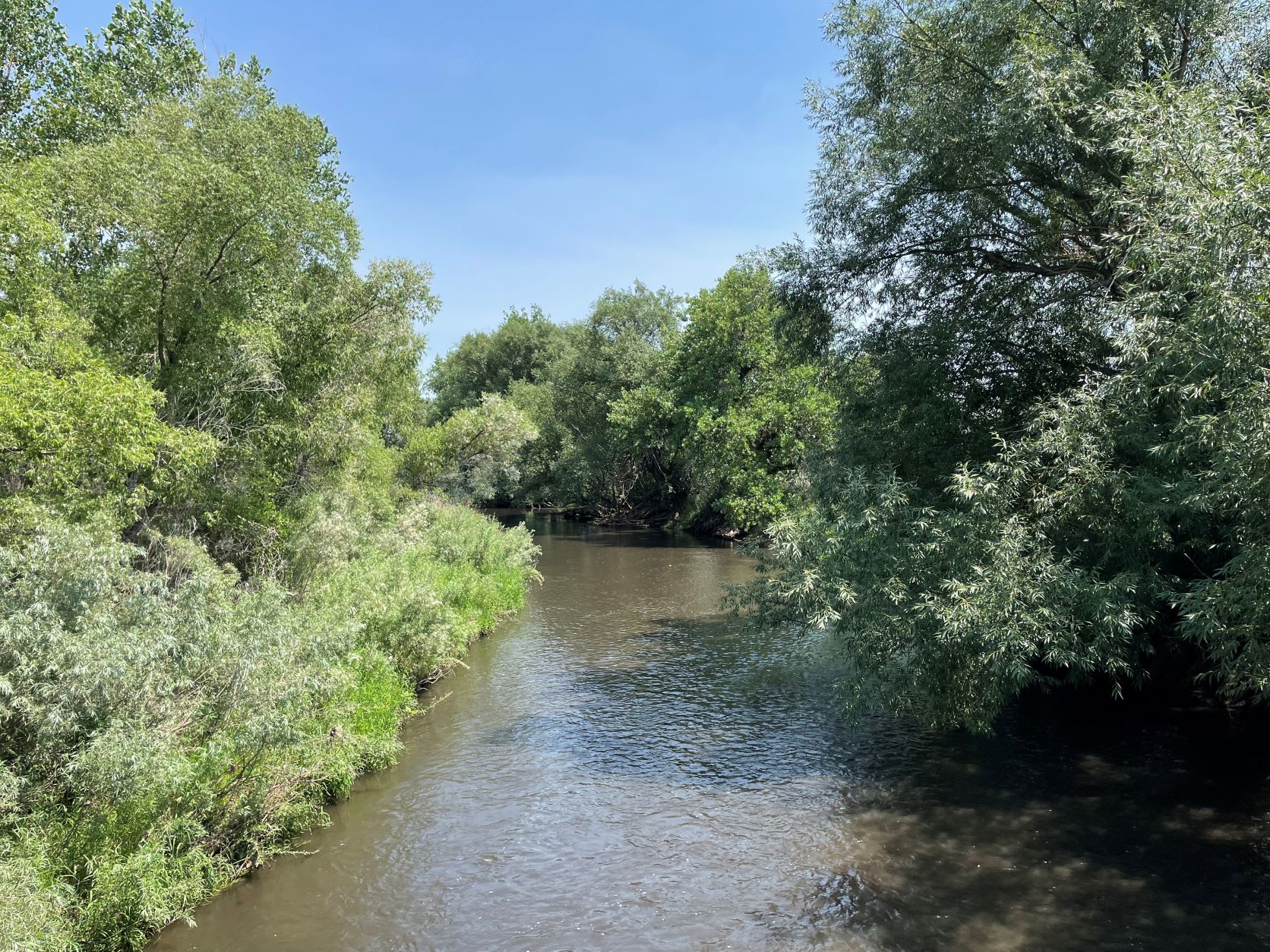 Timnath Colorado, Fort Collins, Timnath Beerwerks, Colorado Grain and Feed, River Bluffs Open Space, Backyard Bird Chicken and Donuts, Timnath Sunday Market, Swetzville Zoo, Jessica Hughes