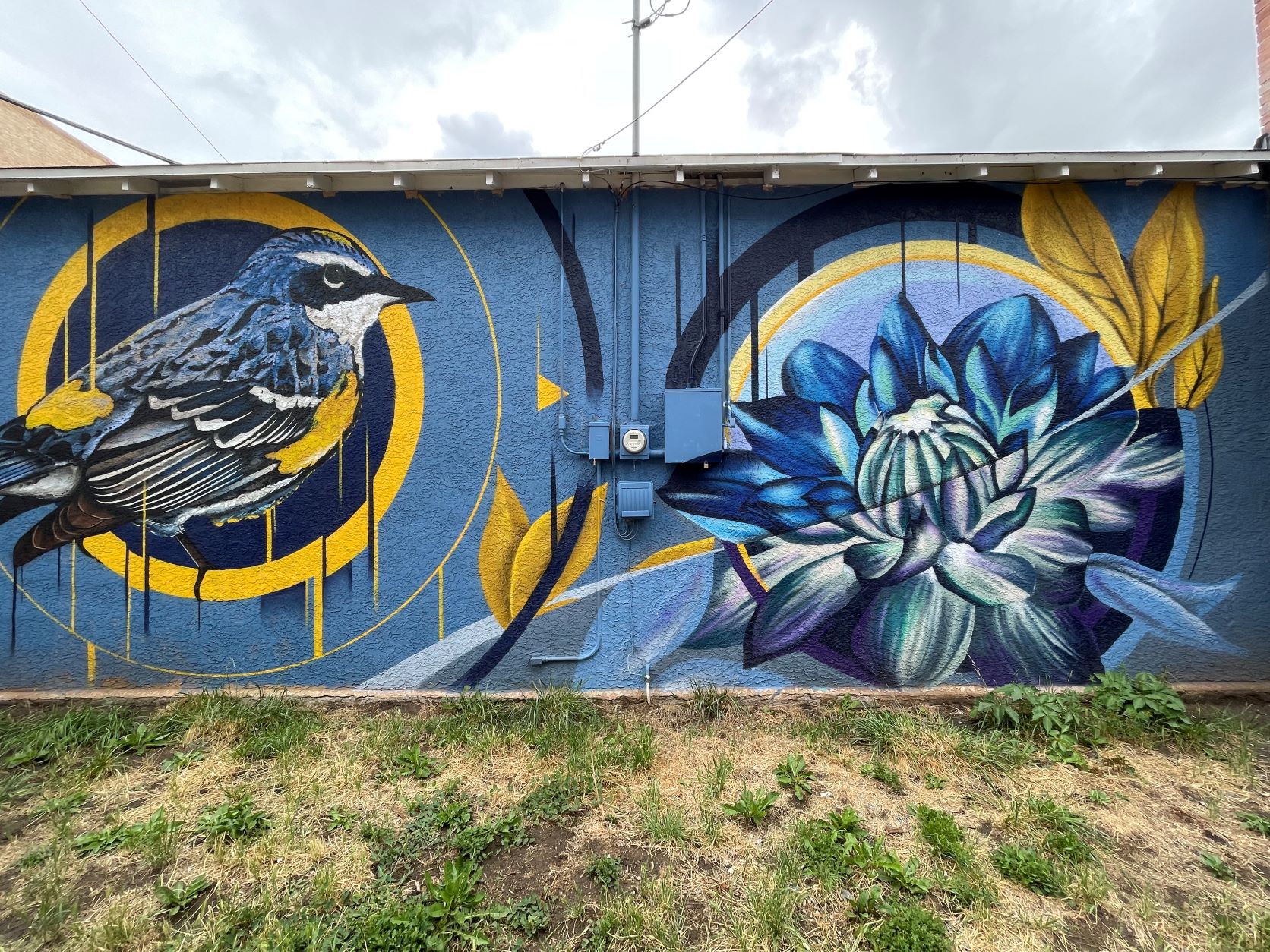 Spanish Peaks Region, La Veta, Walsenburg, Colorado, Farout Murals, Museum of Friends, Space Gallery, Colorado Creative District, La Veta School of the Arts, Jessica Hughes