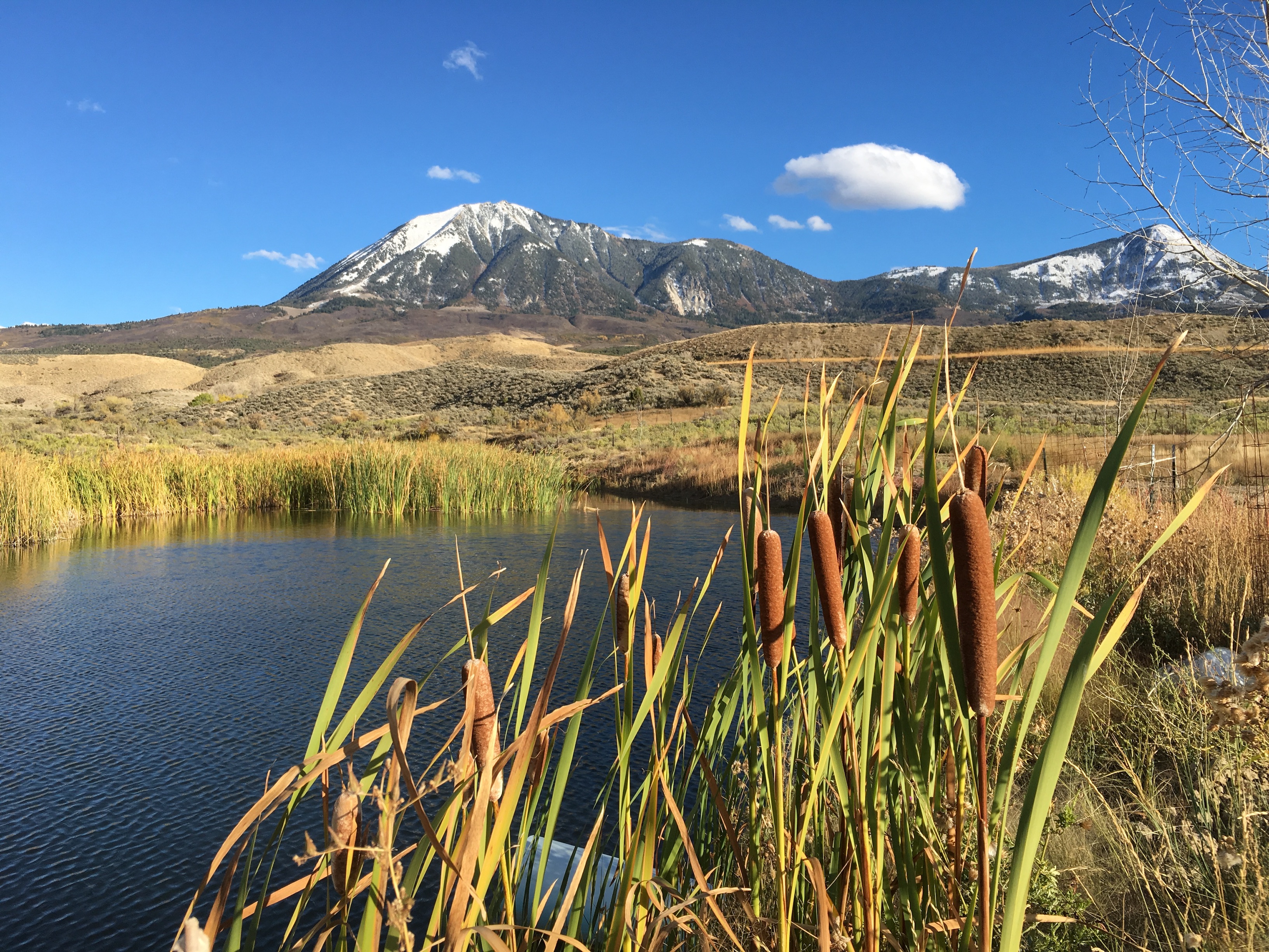 Zascha Fox, 303 Magazine, Peter Heller, Author, Novelist, Novel, Book, Writer, The Guide, The River, The Ranger, The Dog Stars, Colorado, Missoula, Fishing, Outdoors, Fiction