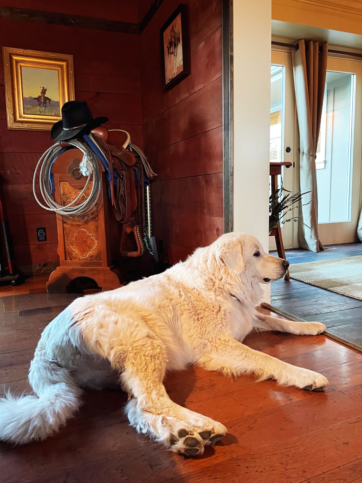 The Inn at Whiskey Belle Ranch, Red Feathers Lake, Colorado, Highland Cattle, Jessica Hughes, Colorado Ranch, Fort Collins, Forks Mercantile & Saloon