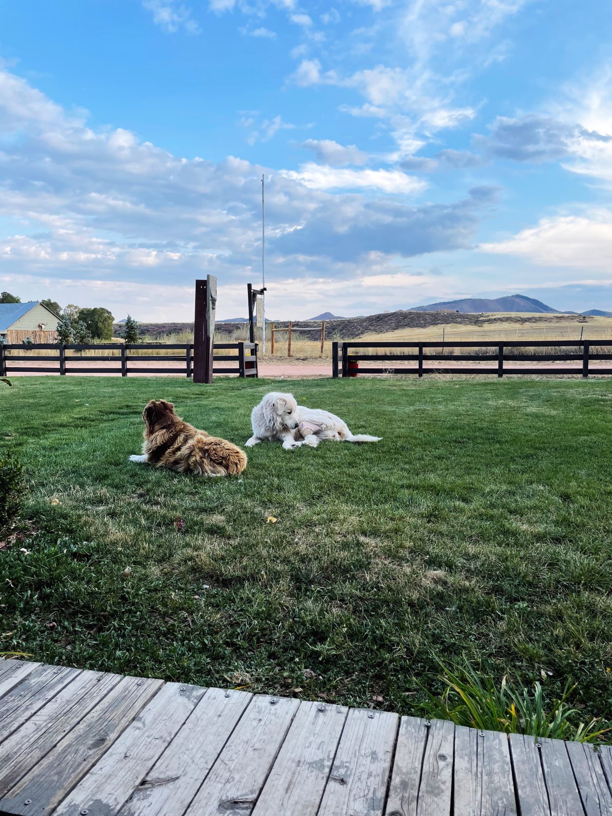 The Inn at Whiskey Belle Ranch, Red Feathers Lake, Colorado, Highland Cattle, Jessica Hughes, Colorado Ranch, Fort Collins, Forks Mercantile & Saloon