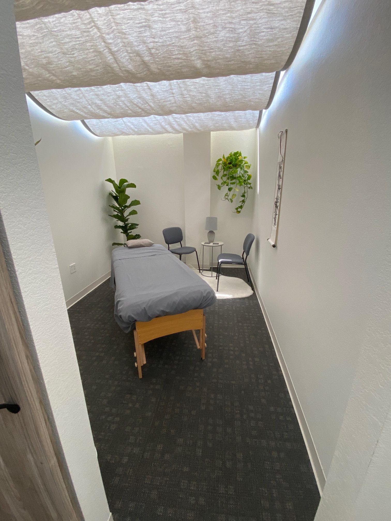 Zascha Fox, 303 Magazine, Tracey Abbott, Refuge Acupuncture, Refuge, Acupuncture, Eastern Medicine, MS, Herbs, Denver, Colorado