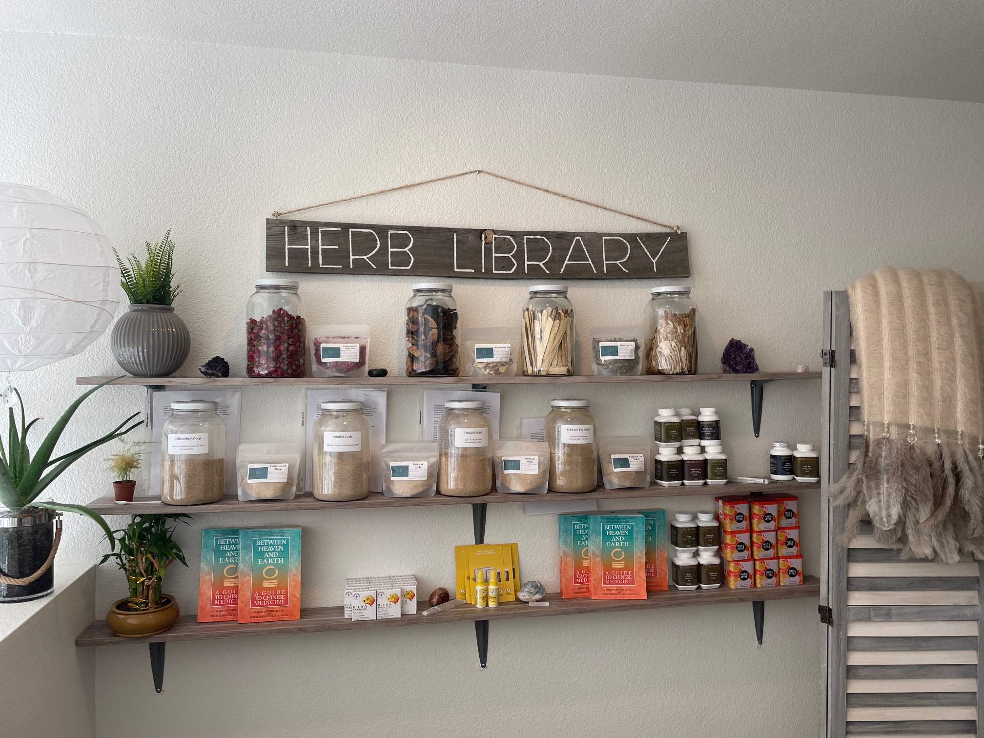 Zascha Fox, 303 Magazine, Tracey Abbott, Refuge Acupuncture, Refuge, Acupuncture, Eastern Medicine, MS, Herbs, Denver, Colorado