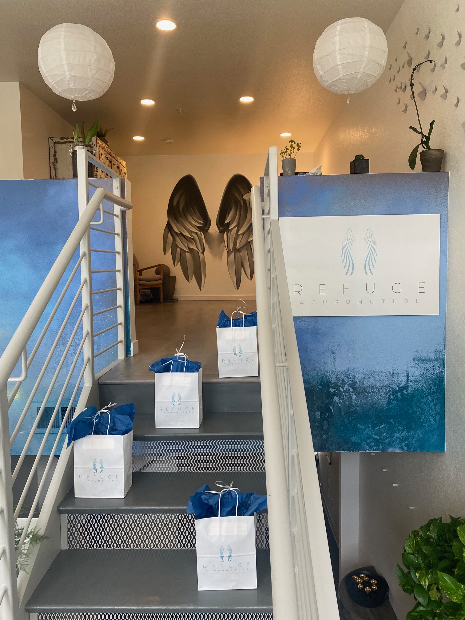 Zascha Fox, 303 Magazine, Tracey Abbott, Refuge Acupuncture, Refuge, Acupuncture, Eastern Medicine, MS, Herbs, Denver, Colorado