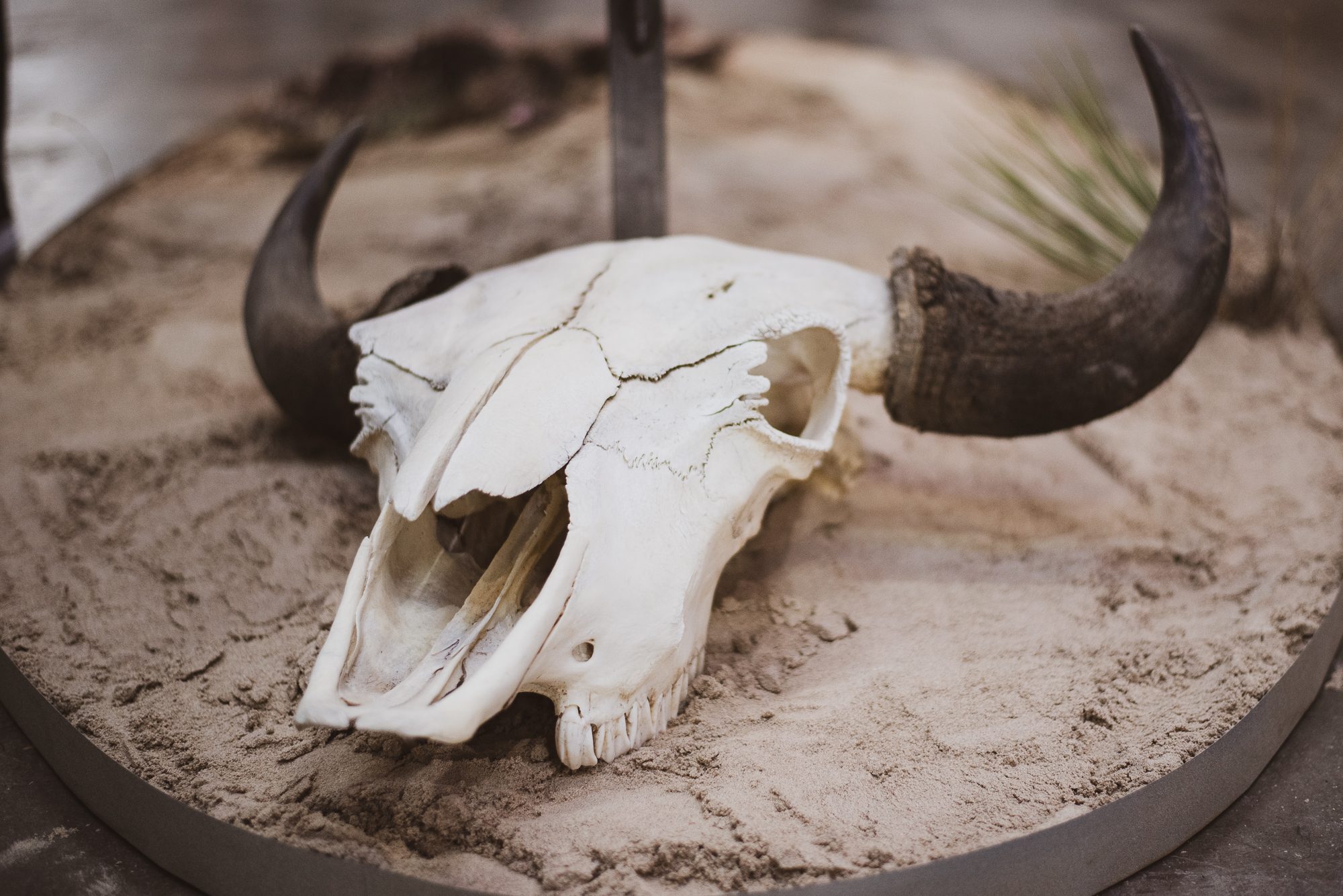 Abby Schirmacher, 303 Magazine, 303 Fashion, Denver Fashion, Denver Designers, Dalton Bidula, Jevon Taylor, False Ego, LAAW, Roxanna Carrasco