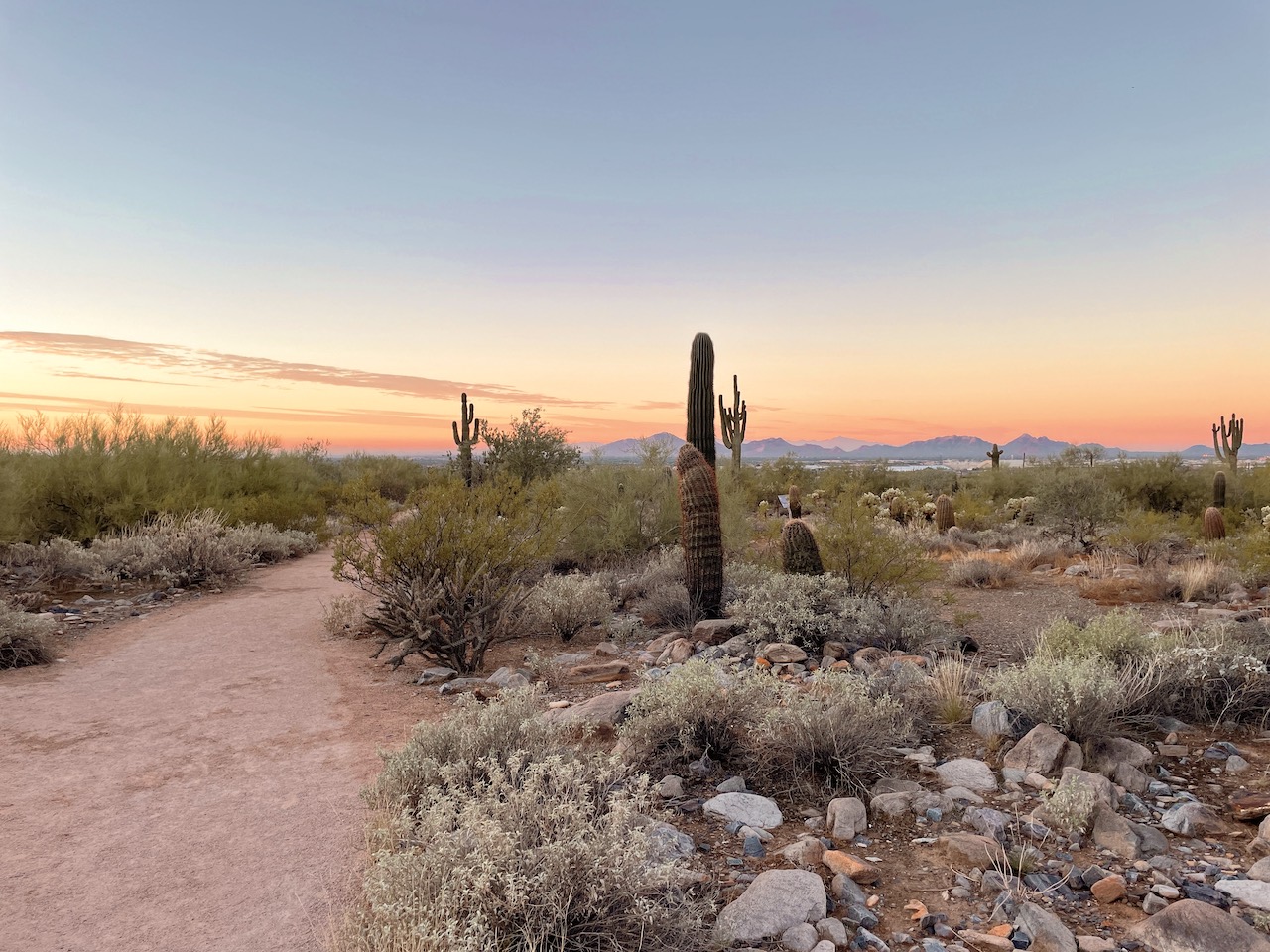 Experience Scottsdale, 303 Magazine, Scottsdale, CIVANA Wellness Resort and Spa, Mountain Shadows Resort, Hot Air Expeditions, REI Adventure Phoenix, Camelback Mountain, Herb Box, Italian Daughter, Old Town Scottsdale, McDowell Sonoran Preserve, warm winter getaway, Southwest, Frontier, United Airlines, Citizen Public House, Craft 64, Jessica Hughes