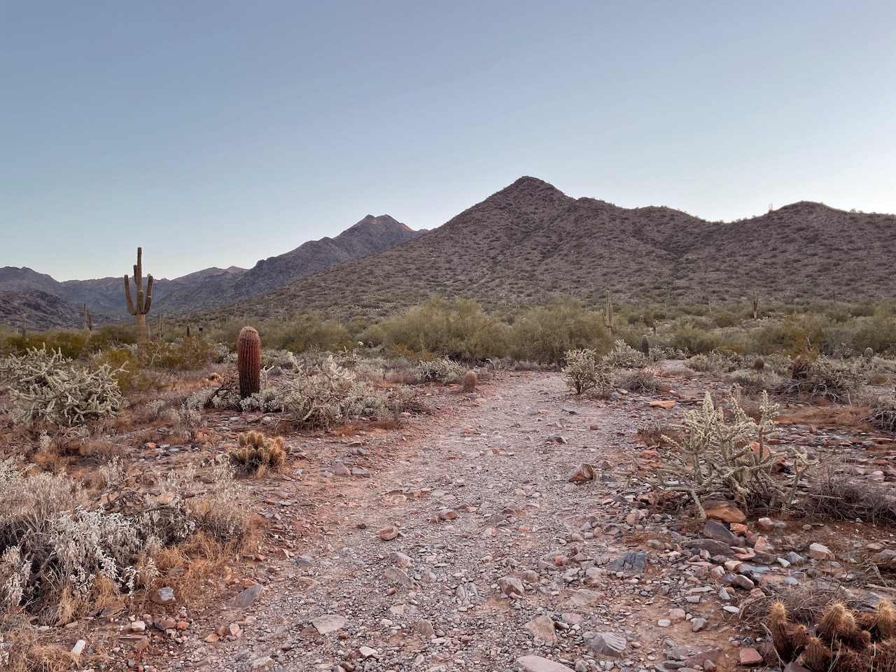 Experience Scottsdale, 303 Magazine, Scottsdale, CIVANA Wellness Resort and Spa, Mountain Shadows Resort, Hot Air Expeditions, REI Adventure Phoenix, Camelback Mountain, Herb Box, Italian Daughter, Old Town Scottsdale, McDowell Sonoran Preserve, warm winter getaway, Southwest, Frontier, United Airlines, Citizen Public House, Craft 64, Jessica Hughes