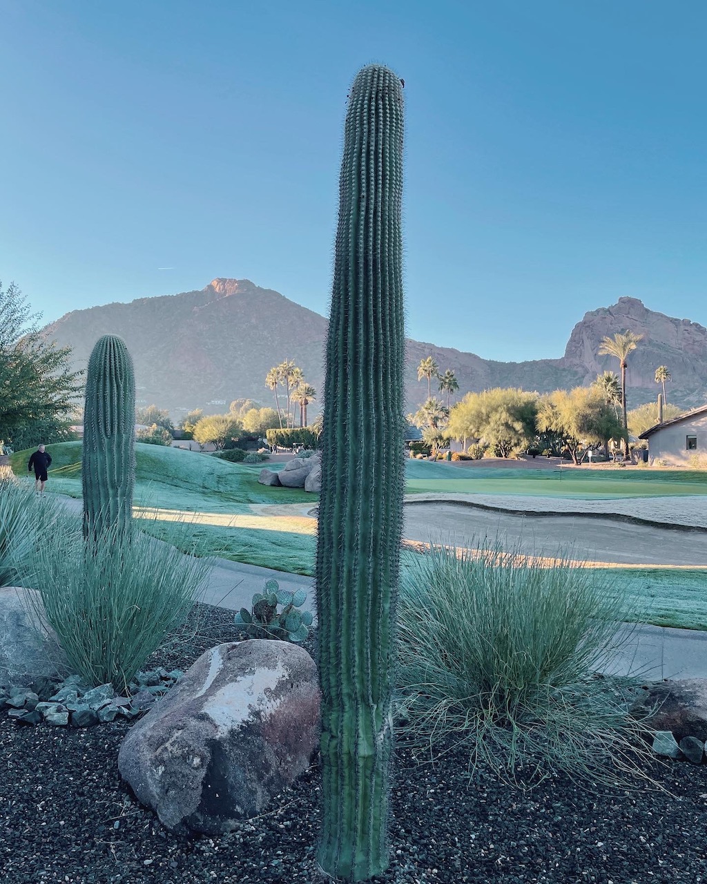 Experience Scottsdale, 303 Magazine, Scottsdale, CIVANA Wellness Resort and Spa, Mountain Shadows Resort, Hot Air Expeditions, REI Adventure Phoenix, Camelback Mountain, Herb Box, Italian Daughter, Old Town Scottsdale, Diego Pops, McDowell Sonoran Preserve, warm winter getaway, Southwest, Frontier, United Airlines, Citizen Public House, Craft 64, Jessica Hughes, desert botanical gardens