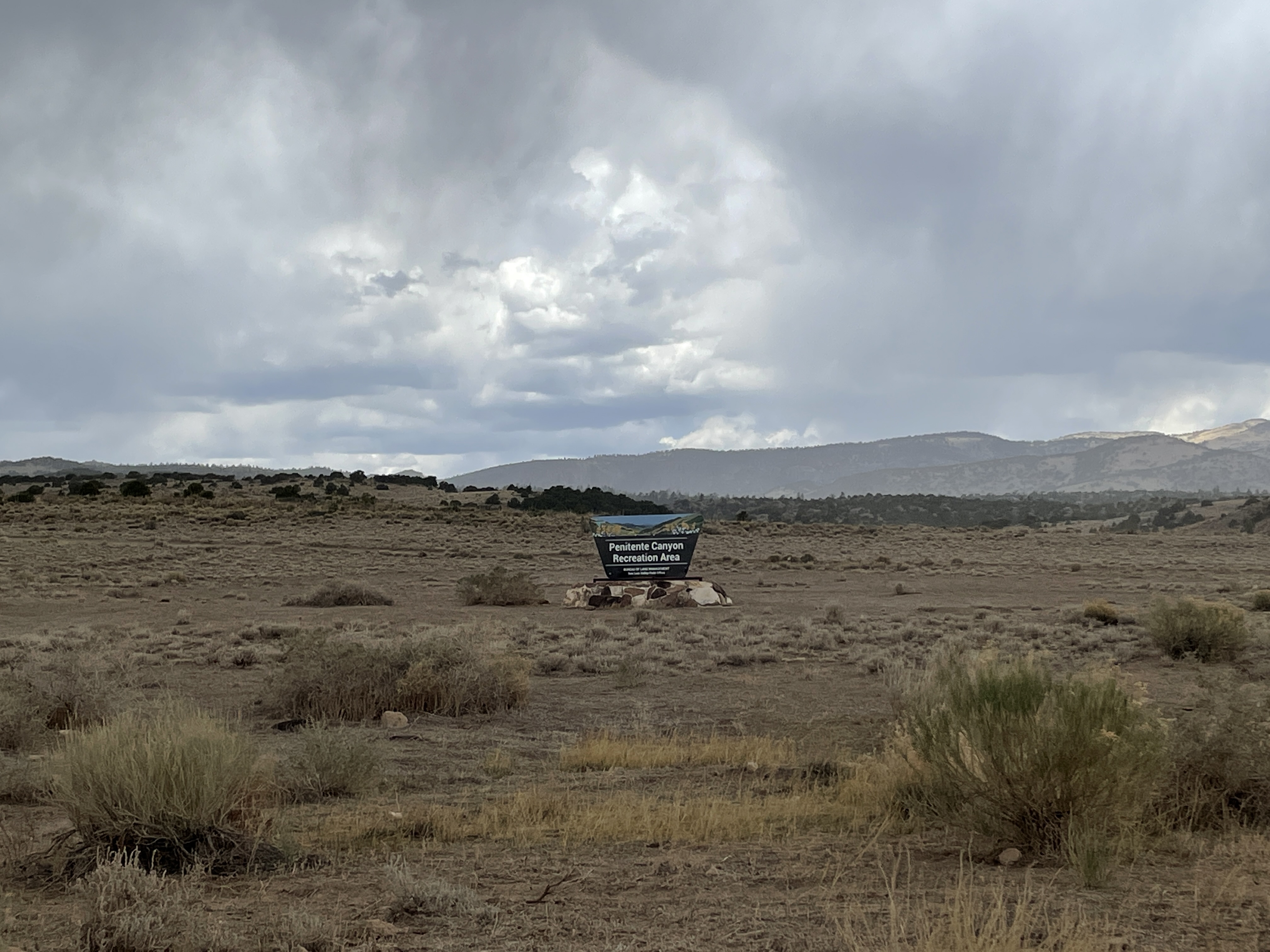 The General Specific Store.