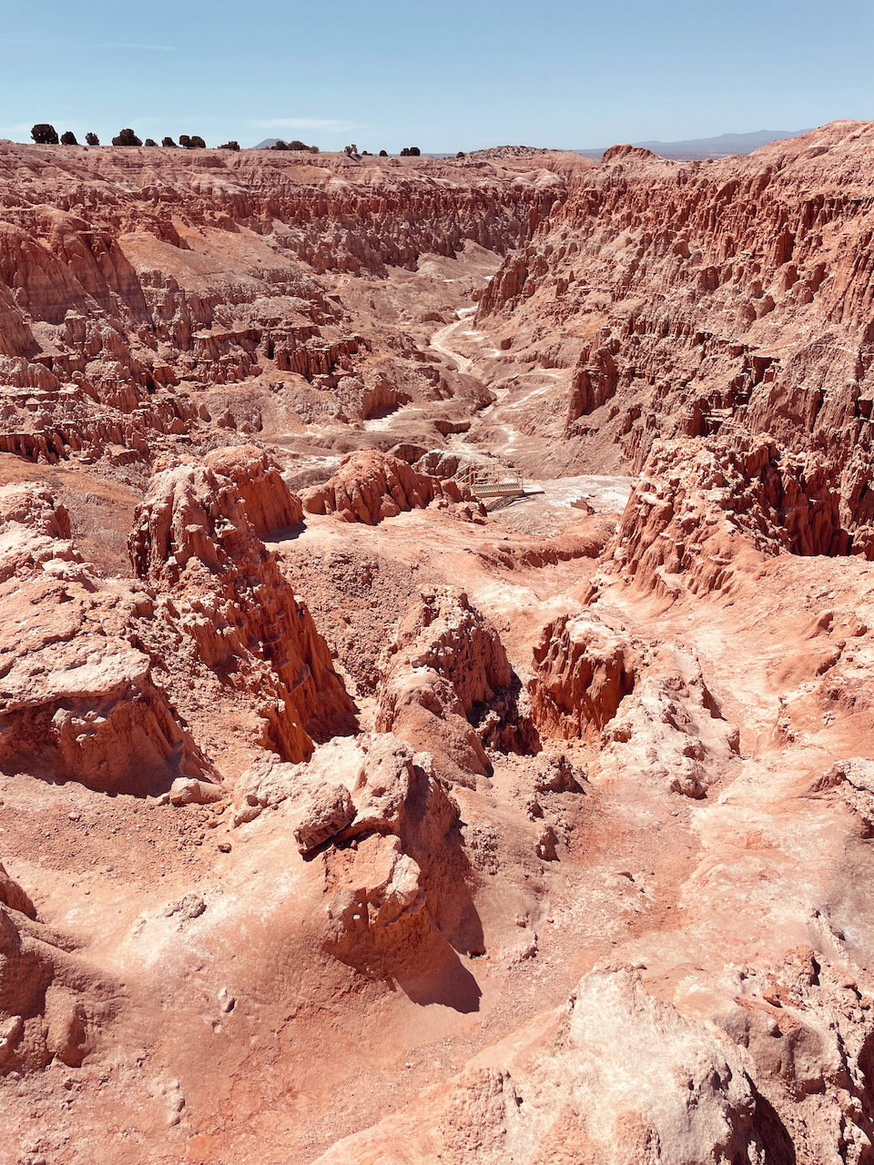 303 Magazine, Jessica Hughes, Great Basin Highway, Las Vegas, Nevada, Pioche, Ely, Hotel Nevada, Overland Hotel, Lipsmacking Foodie Tour, Great Basin National Park, Stargazer Inn, Valley of Fire State Park, Ward Charcoal Ovens State Park, Kershaw-Ryan State Park, Cathedral Gorge State Park, Mob Museum, Neon Museum