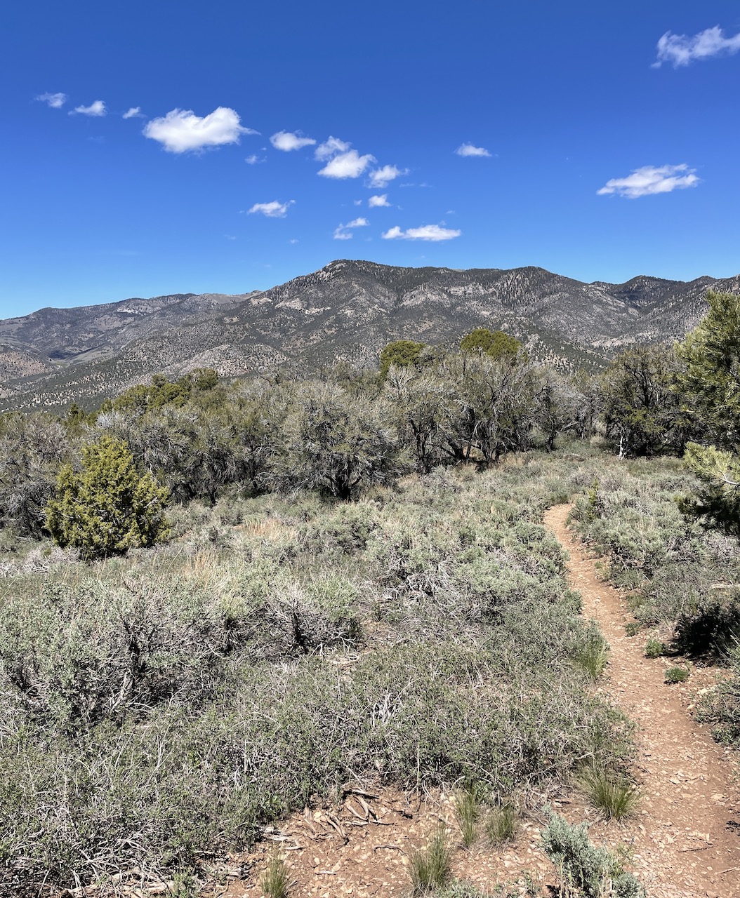 303 Magazine, Jessica Hughes, Great Basin Highway, Las Vegas, Nevada, Pioche, Ely, Hotel Nevada, Overland Hotel, Lipsmacking Foodie Tour, Great Basin National Park, Stargazer Inn, Valley of Fire State Park, Ward Charcoal Ovens State Park, Kershaw-Ryan State Park, Cathedral Gorge State Park, Mob Museum, Neon Museum