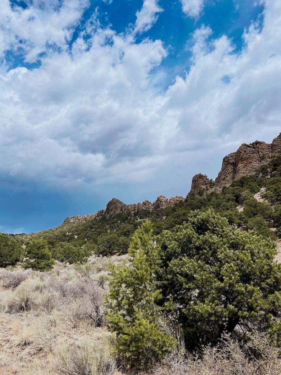 Jessica Hughes, 303 Magazine, Del Norte, Colorado, General Specific Store, Three Barrel Brewing, Windsor Hotel, Rio Grande River, Del Norte Riverwalk, Rio Grande National Forest, San Luis Valley, 1874 Distillery, 1874 food truck, Penitente Canyon