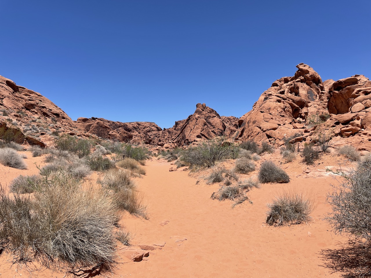 303 Magazine, Jessica Hughes, Great Basin Highway, Las Vegas, Nevada, Pioche, Ely, Hotel Nevada, Overland Hotel, Lipsmacking Foodie Tour, Great Basin National Park, Stargazer Inn, Valley of Fire State Park, Ward Charcoal Ovens State Park, Kersher-Ryan State Park, Cathedral Gorge State Park, Mob Museum, Neon Museum