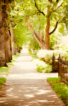 neighborhood, beautiful, walking