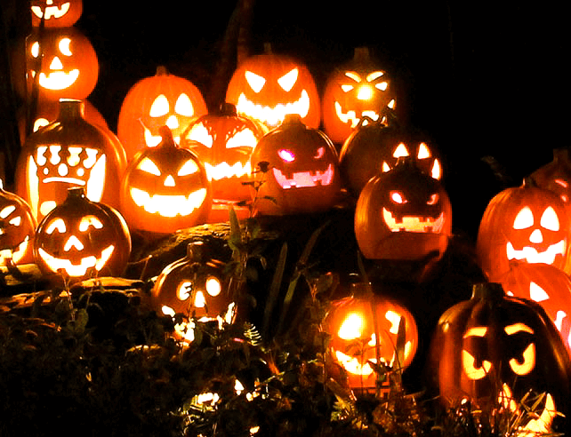 Halloween, jack o'lantern, Hudson Gardens 