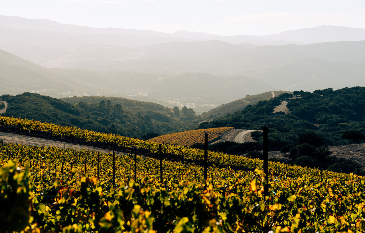 Jessica Hughes, 303 Magazine, Monterey Bay, California Central Coast, Adventures by the Sea, Pebble Beach Equestrian Center, Big Sur Guides and Hiking, United Airlines, Albatross Ridge, Woody’s, Monterey Regional Airport, Denver International Airport