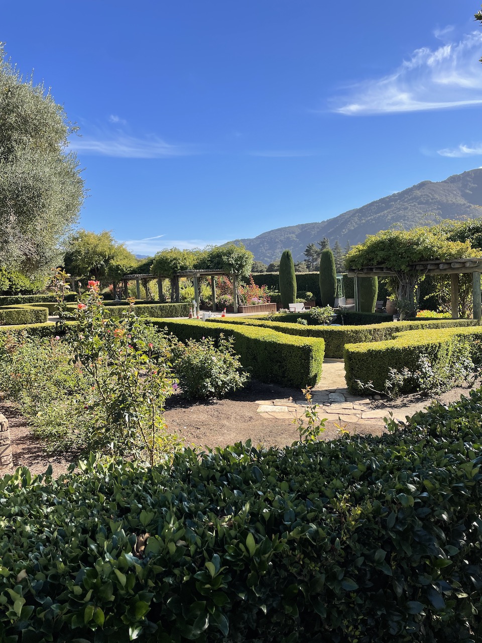 Jessica Hughes, 303 Magazine, Monterey Bay, California Central Coast, Adventures by the Sea, Pebble Beach Equestrian Center, Big Sur Guides and Hiking, United Airlines, Albatross Ridge, Woody’s, Monterey Regional Airport, Denver International Airport, Bernardus Lodge and Spa