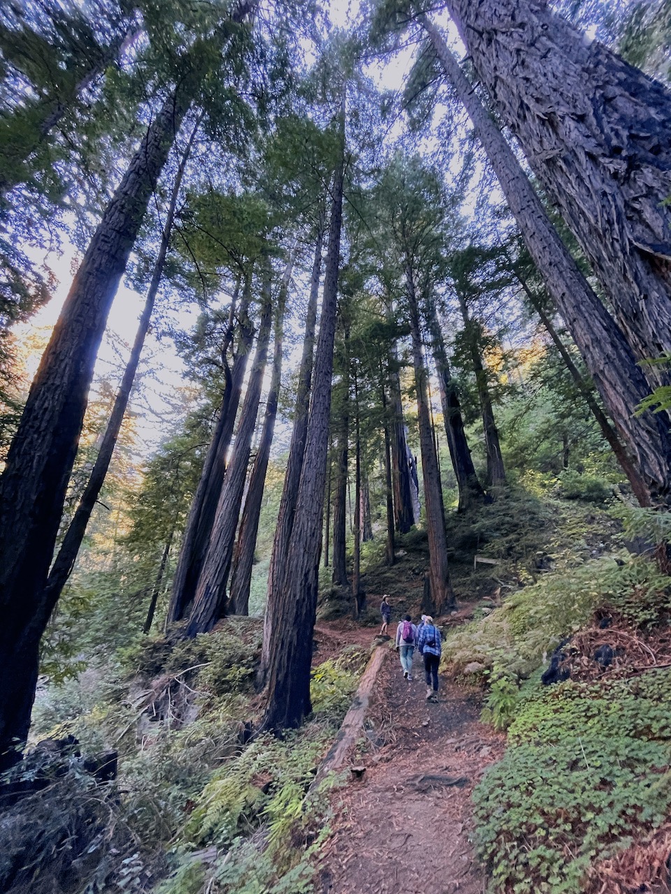 Jessica Hughes, 303 Magazine, Monterey Bay, California Central Coast, Adventures by the Sea, Pebble Beach Equestrian Center, Big Sur Guides and Hiking, United Airlines, Albatross Ridge, Woody’s, Monterey Regional Airport, Denver International Airport