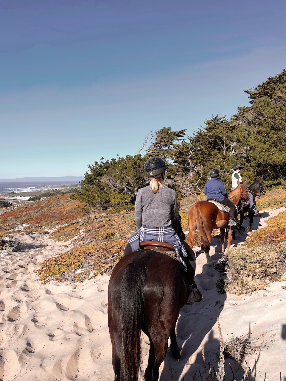 Jessica Hughes, 303 Magazine, Monterey Bay, California Central Coast, Adventures by the Sea, Pebble Beach Equestrian Center, Big Sur Guides and Hiking, United Airlines, Albatross Ridge, Woody’s, Monterey Regional Airport, Denver International Airport