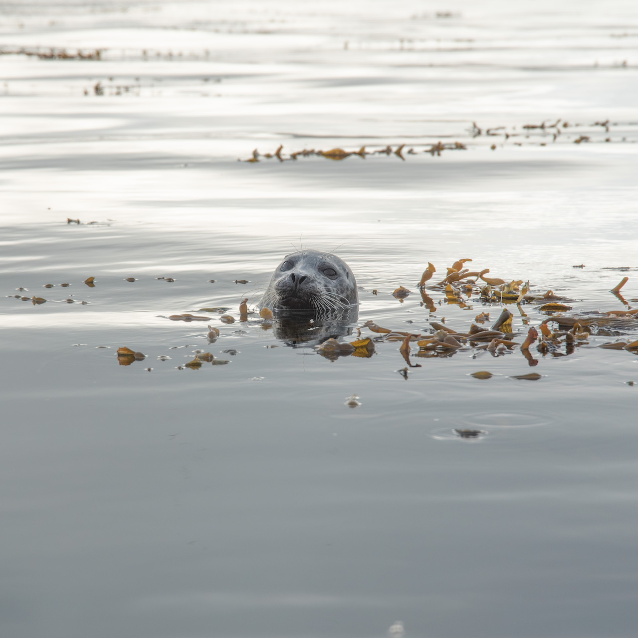 Jessica Hughes, 303 Magazine, Monterey Bay, California Central Coast, Adventures by the Sea, Pebble Beach Equestrian Center, Big Sur Guides and Hiking, United Airlines, Albatross Ridge, Woody’s, Monterey Regional Airport, Denver International Airport