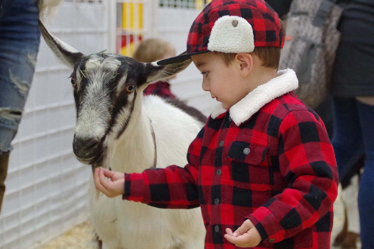 Petting Zoo, National Western Stock Show,
