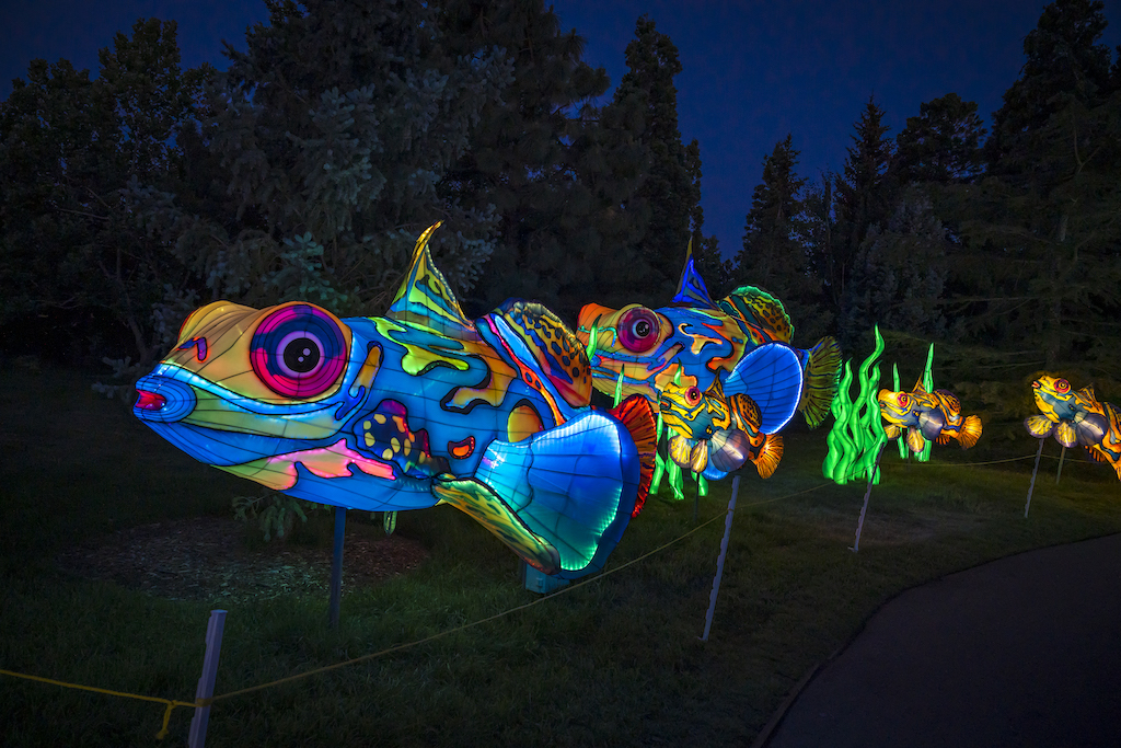 A light display of fish at Bright Nights at Four Mile