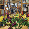 Photo courtesy of The Hermitage Bookshop Facebook