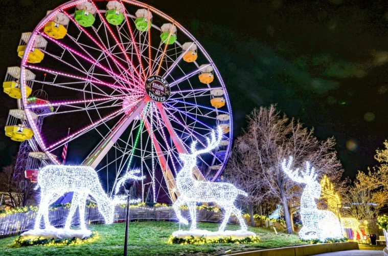 Holiday lights, reindeer