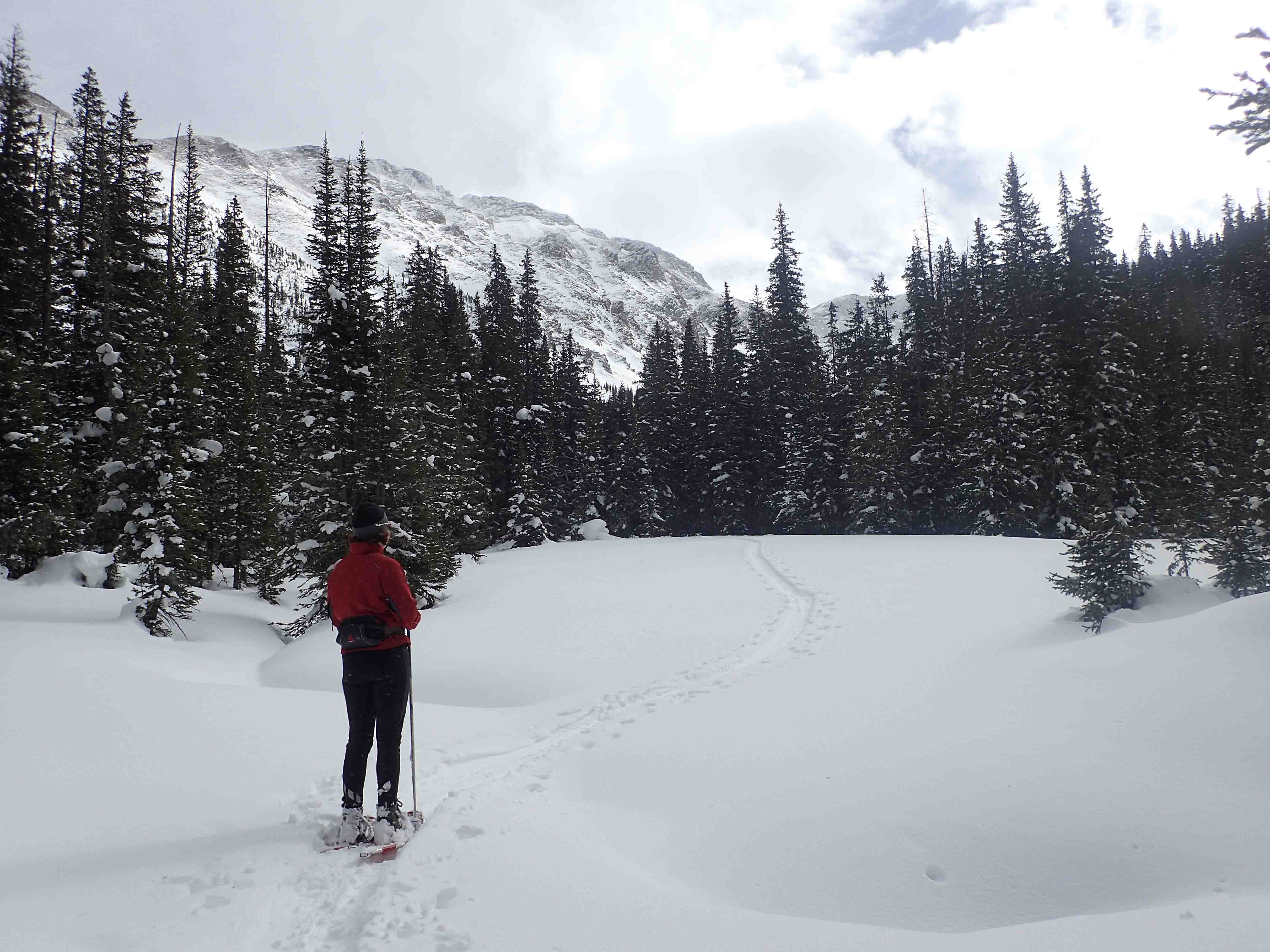 Person, snowy mountain pine trees, snowy hikes Colorado