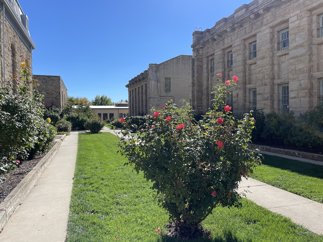 rose gardens at Idaho Penitentiary