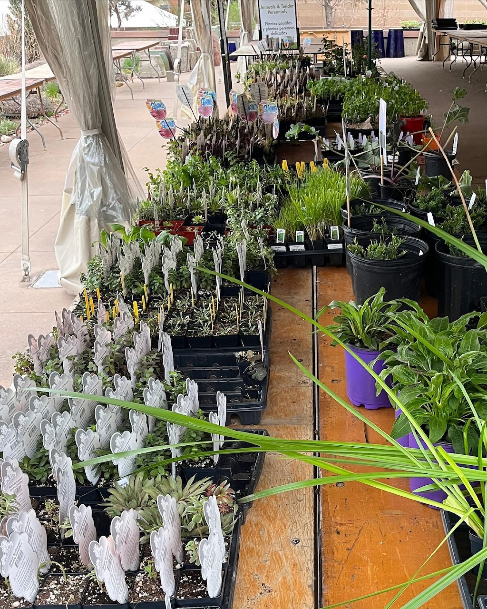 Local Gifts and Experiences to Treat Mom This Mother’s Day in Denver 303 Magazine