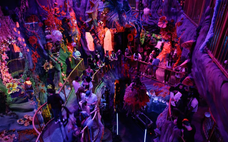 Review — Meow Wolf Denver's Danceportation Featuring J.Worra Was a