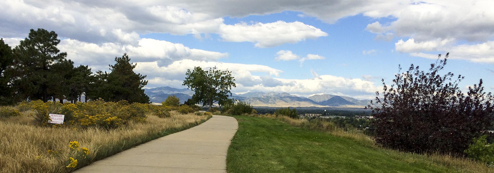 outside, trees, green grass, Denver summer date nights